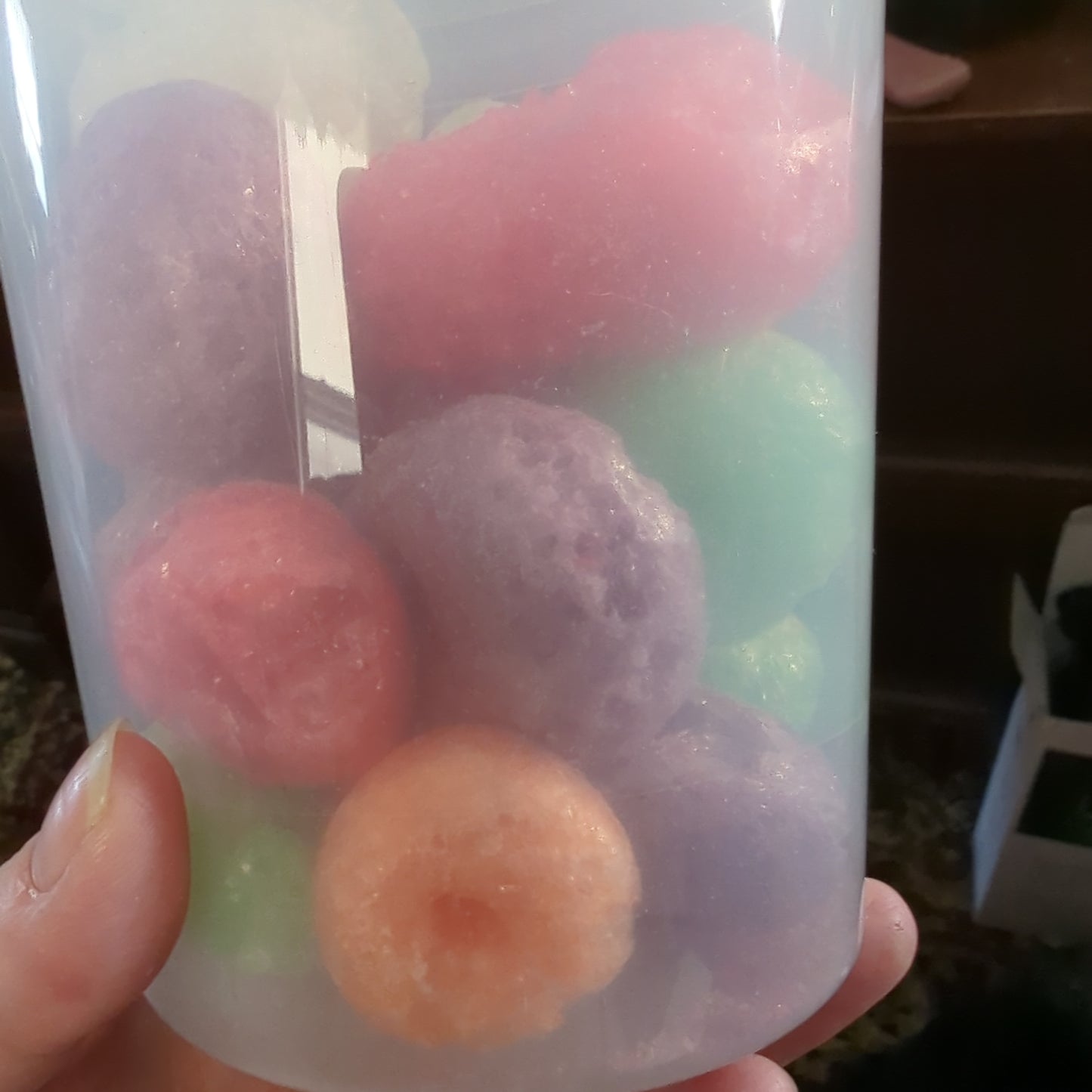 Freeze Dried Fruit Savers